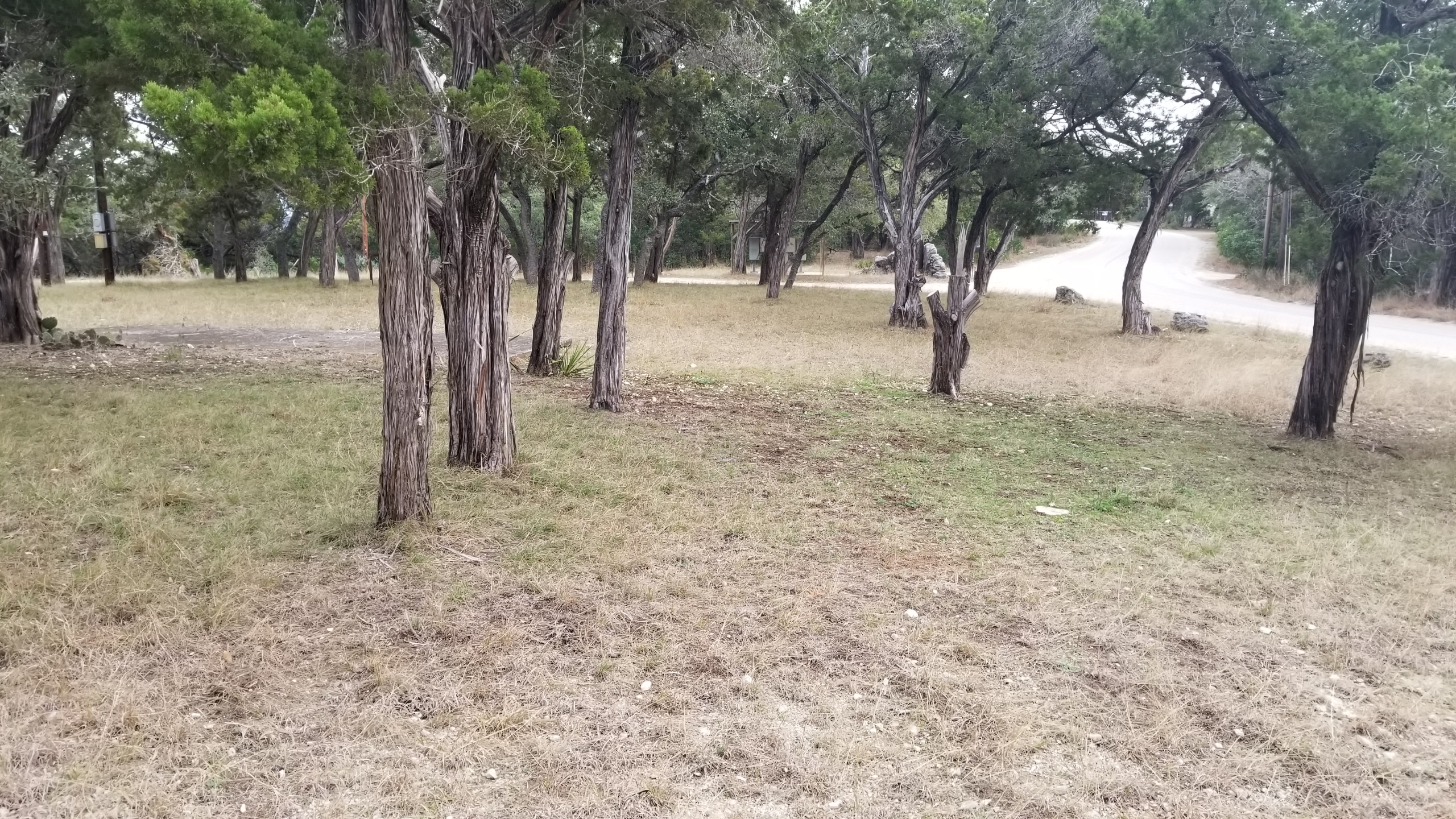 Park road, RV pads, and lots at Medina Highlands Park