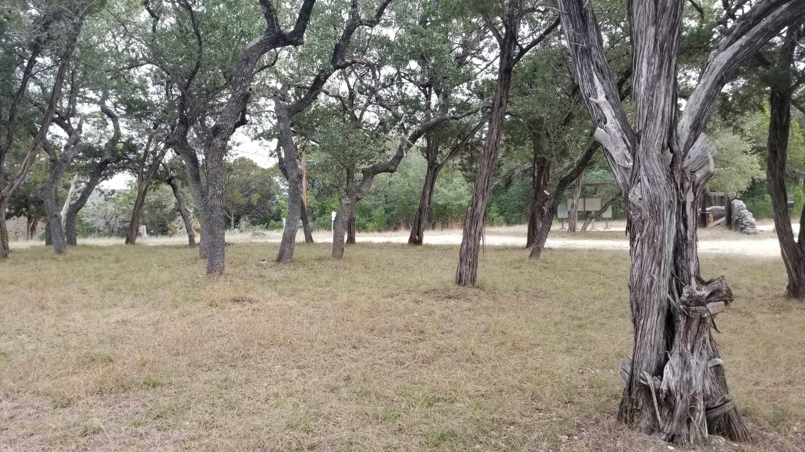 Park road, RV pads, and lots at Medina Highlands Park