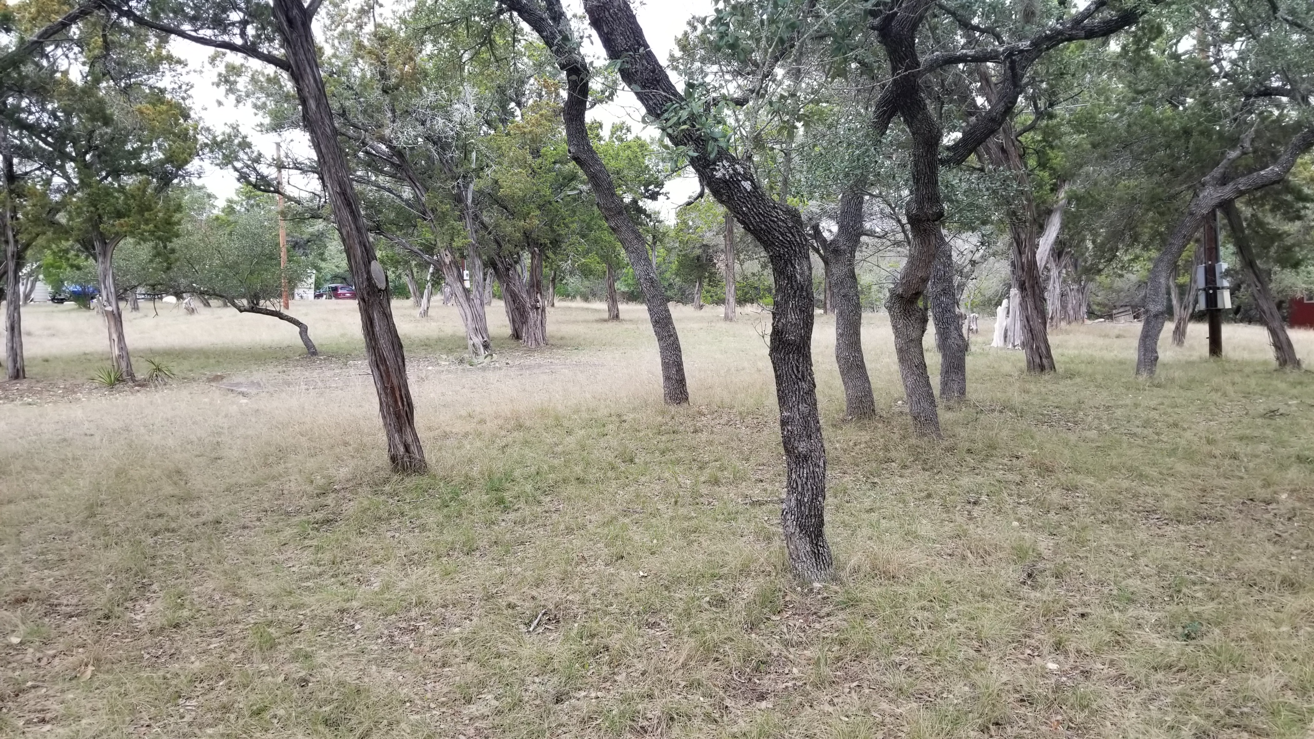 Park road, RV pads, and lots at Medina Highlands Park