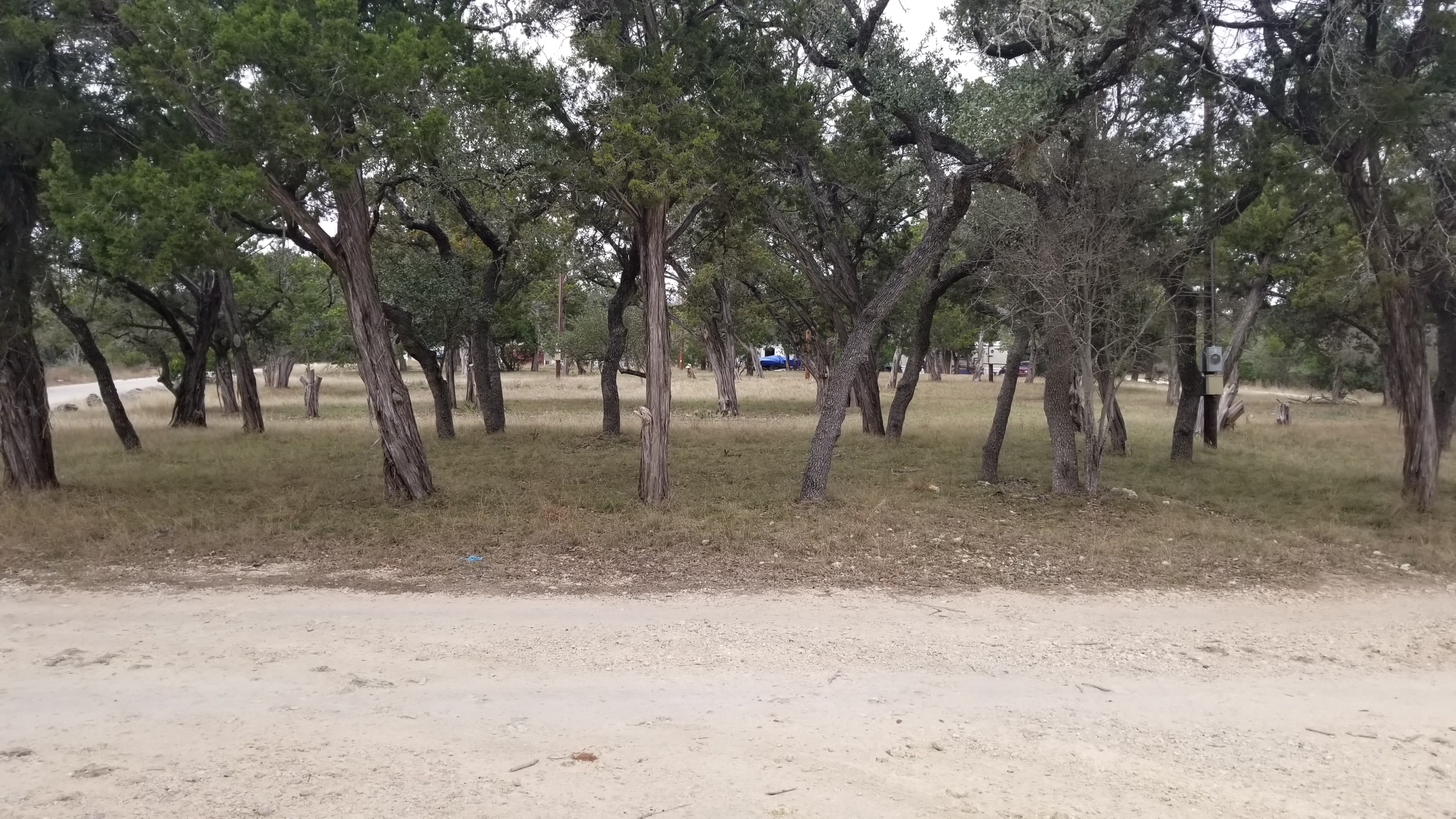 Park road, RV pads, and lots at Medina Highlands Park