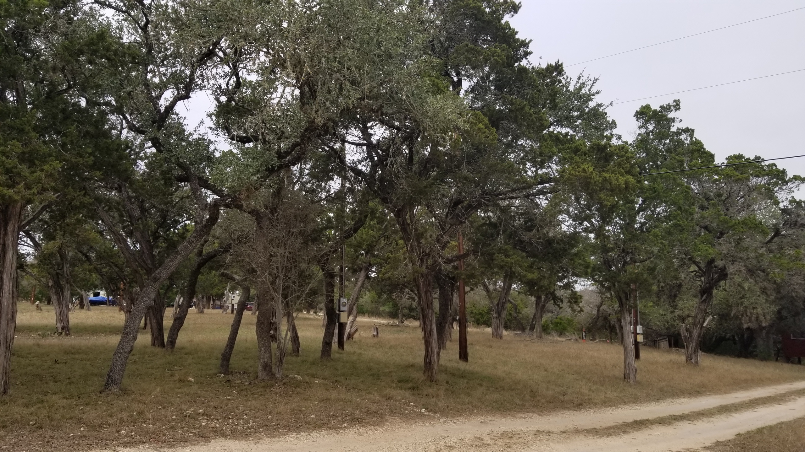 Park road, RV pads, and lots at Medina Highlands Park