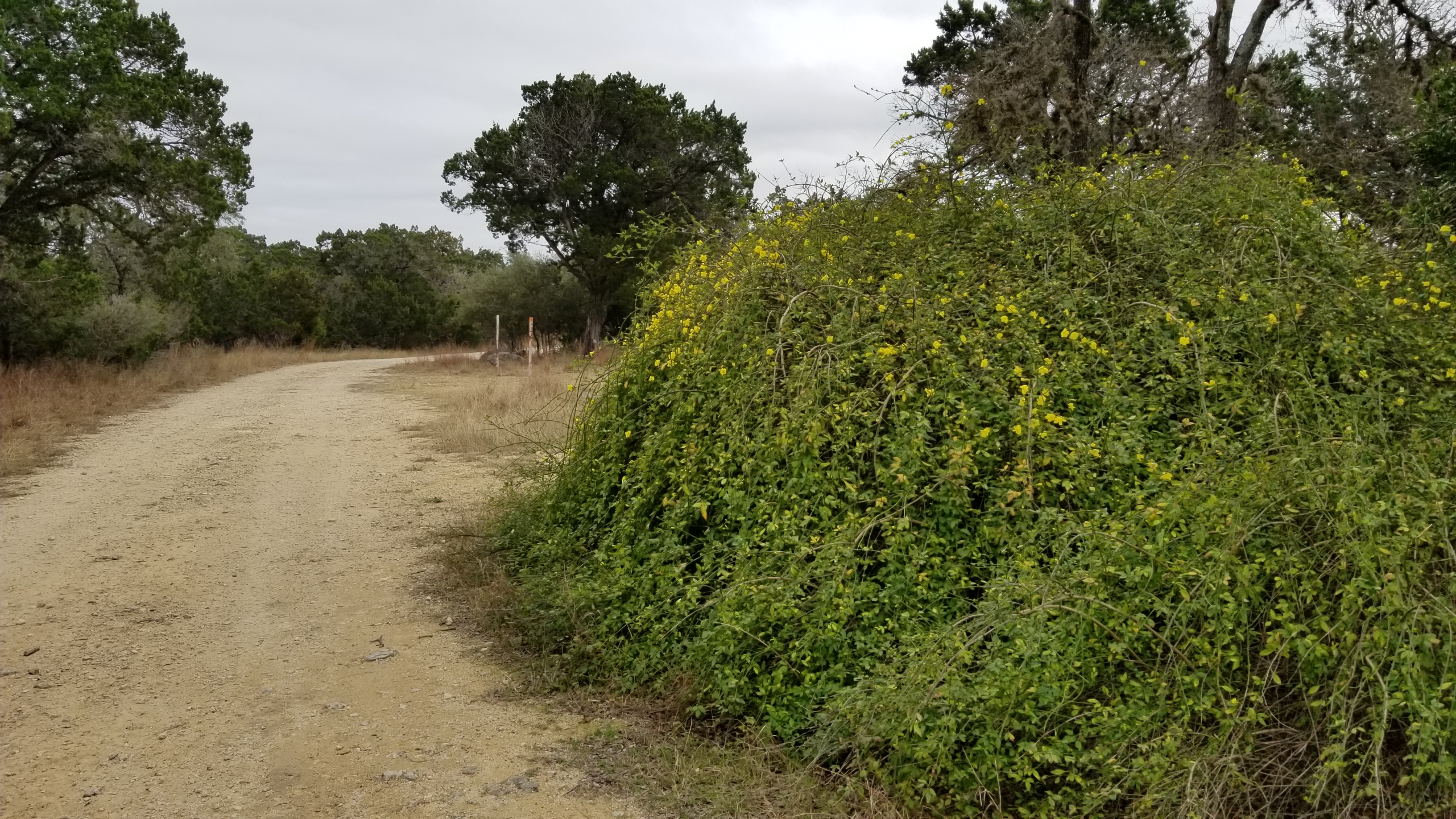 Park road, RV pads, and lots at Medina Highlands Park