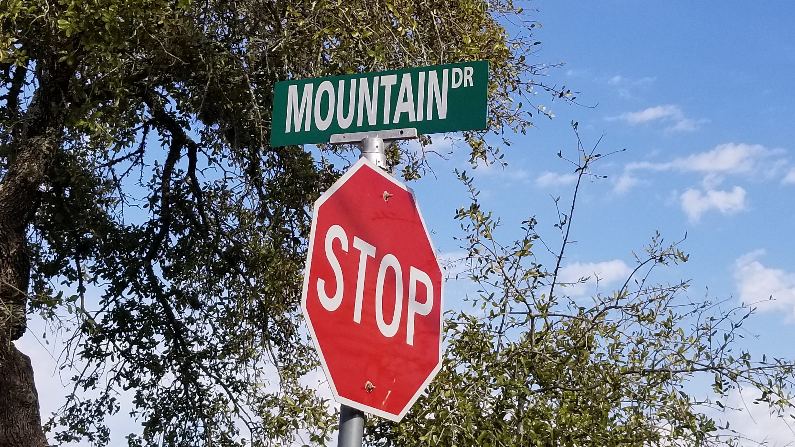 Park road, RV pads, and lots at Medina Highlands Park