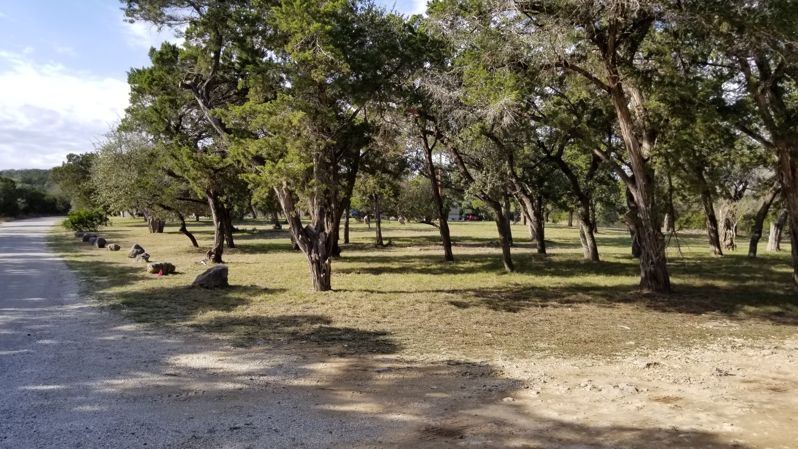 Cottage and trees at Medina Highlands Park